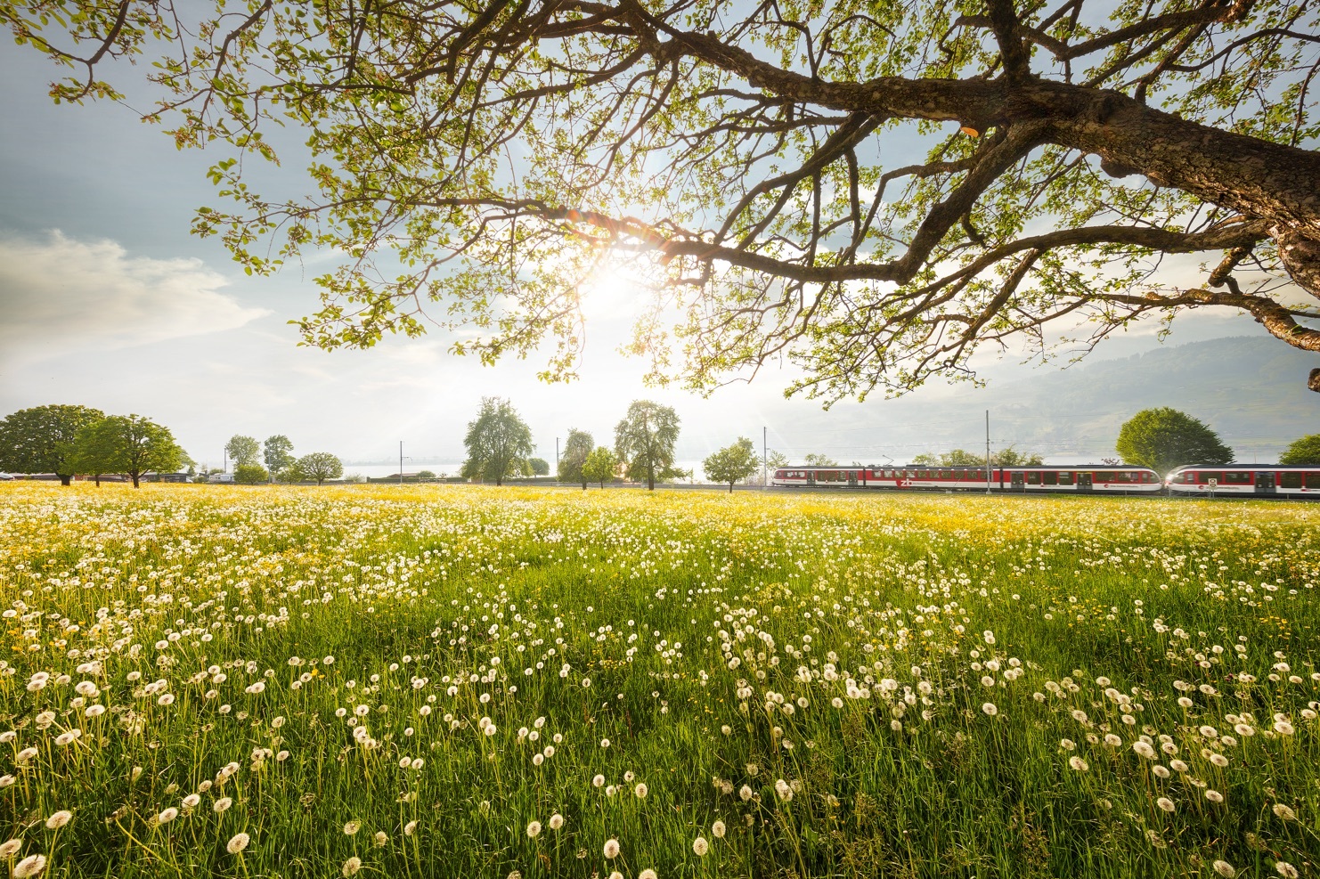 Slider bild sommer 3 zentralbahn